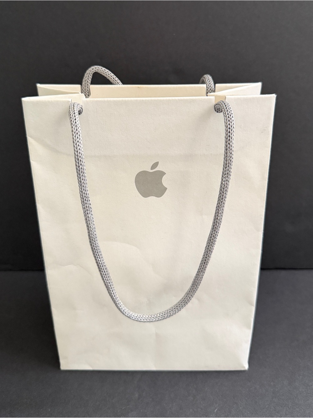 Apple Gift Bag with Silver Rope Handles